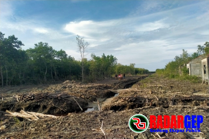 Lurah Sinaboi Klarifikasi dan Bantah Keras Pemberitaan Media Online Terkait Hutan Magrove